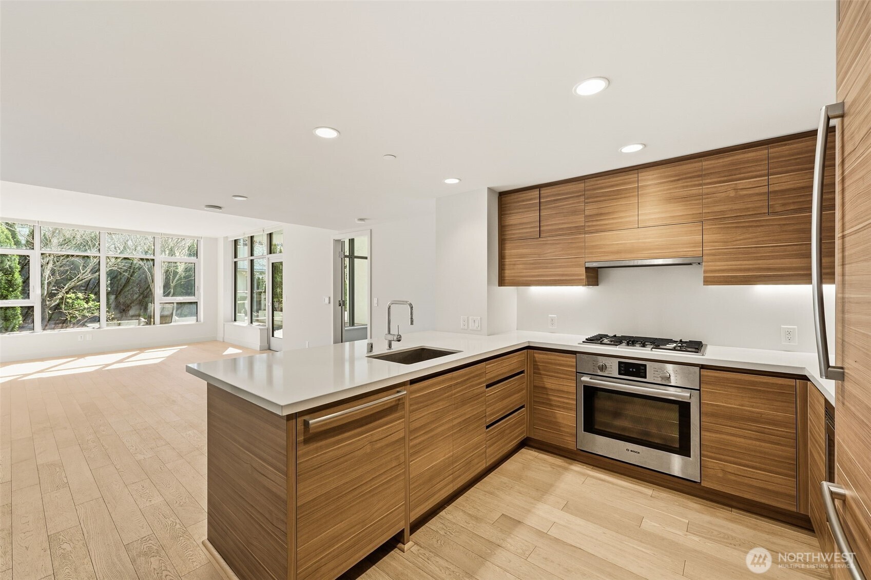 MLS #NWM2501483 image #9