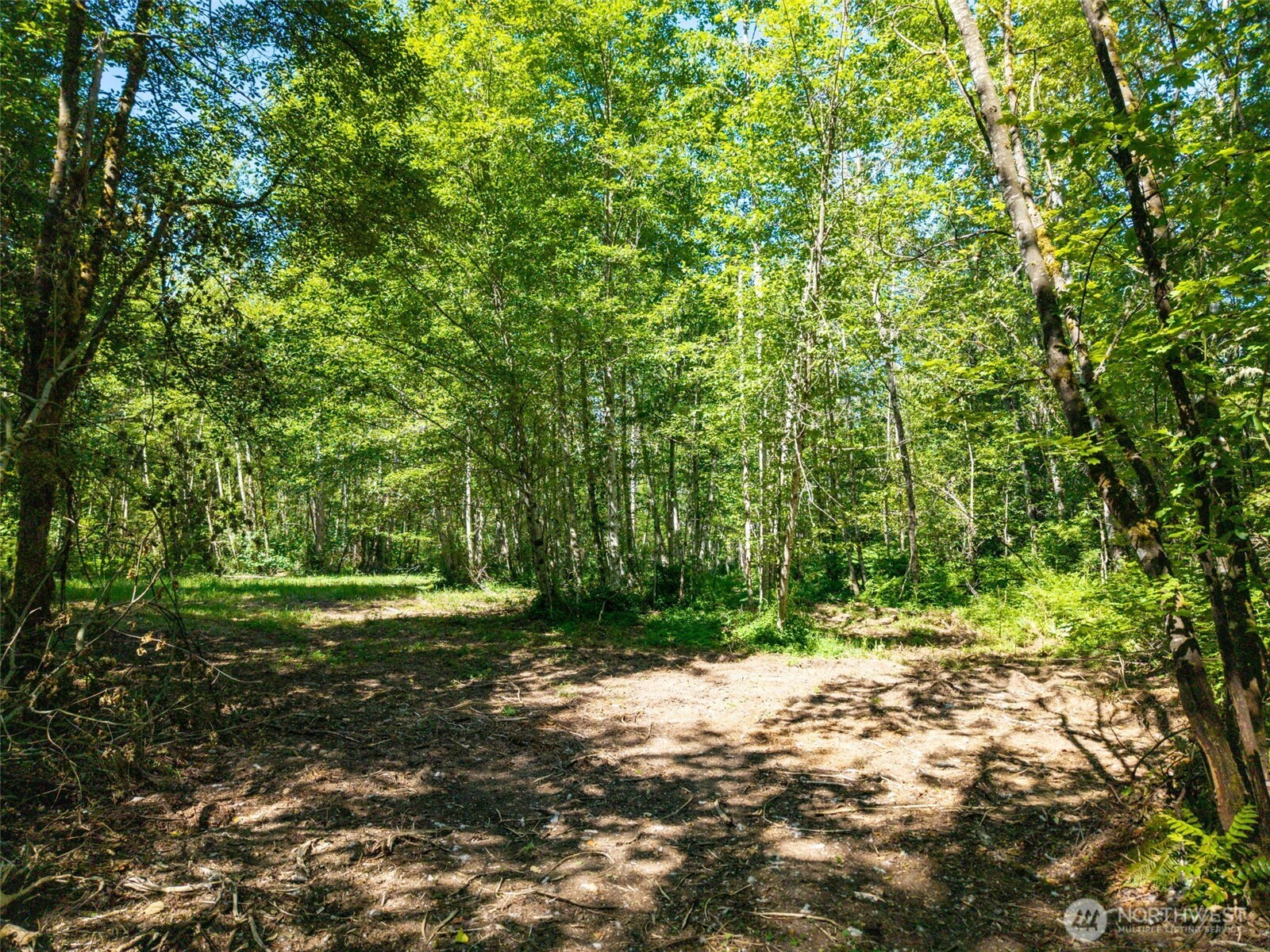 MLS #NWM2501595 image #13