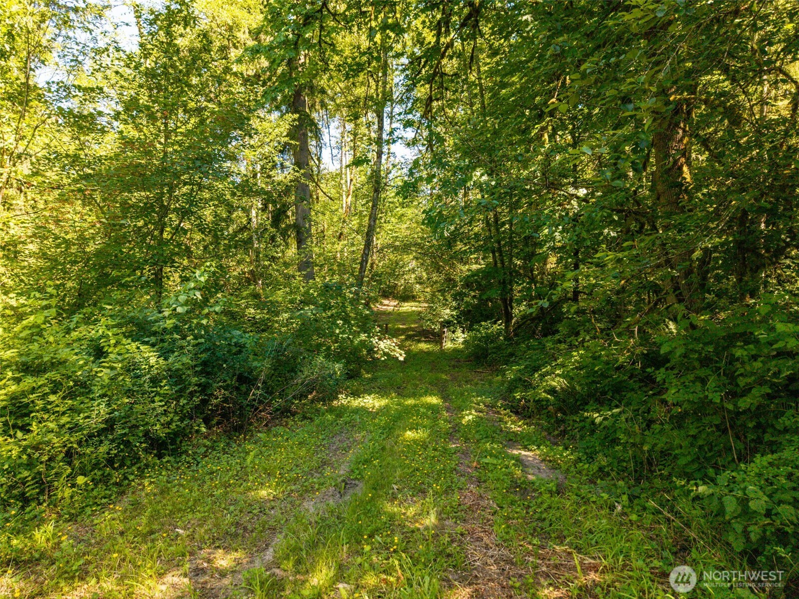 MLS #NWM2501595 image #17