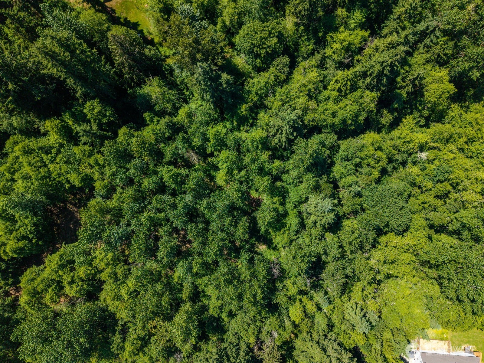 MLS #NWM2501595 image #20