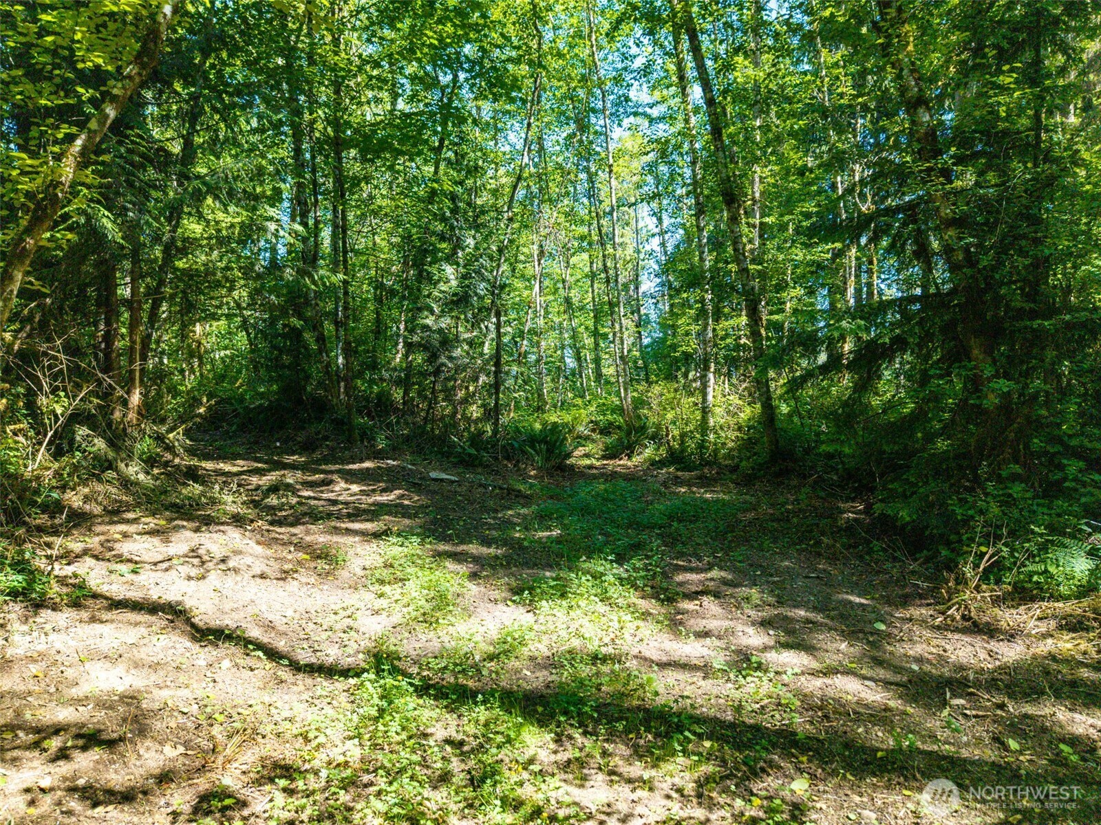 MLS #NWM2501595 image #16