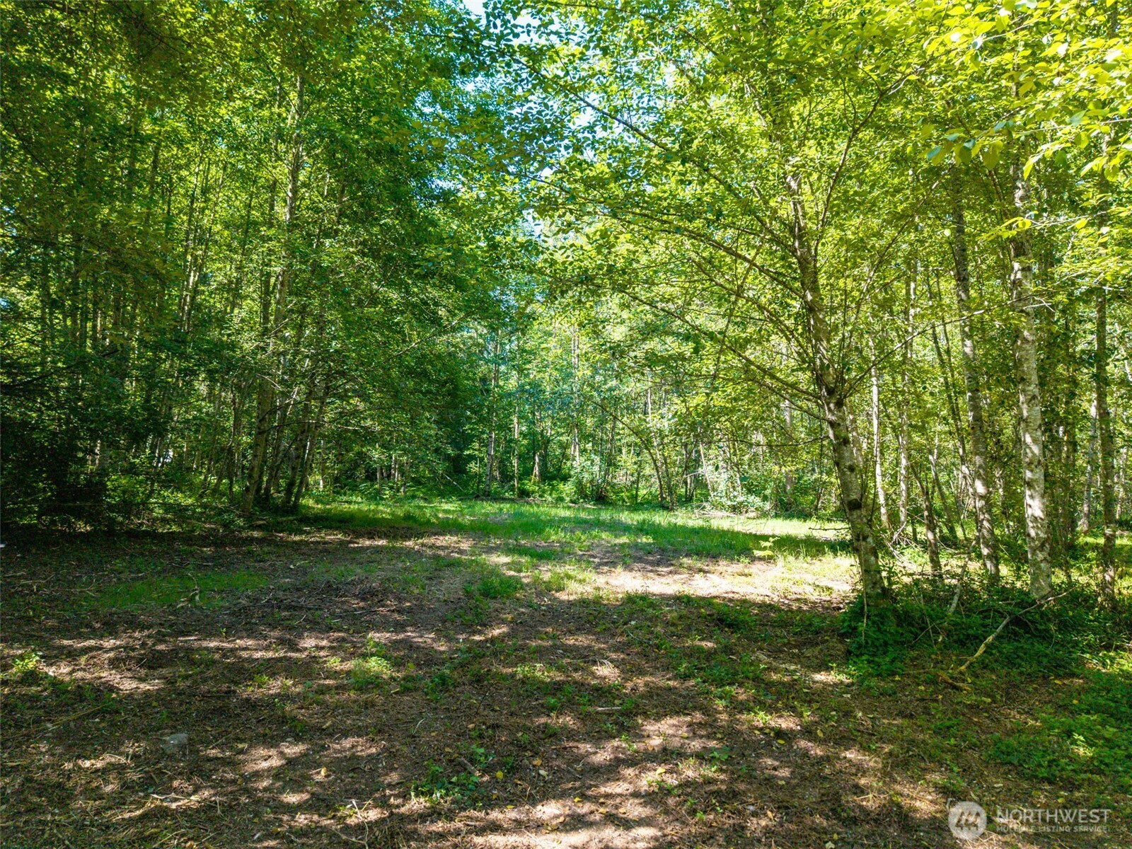 MLS #NWM2501595 image #12