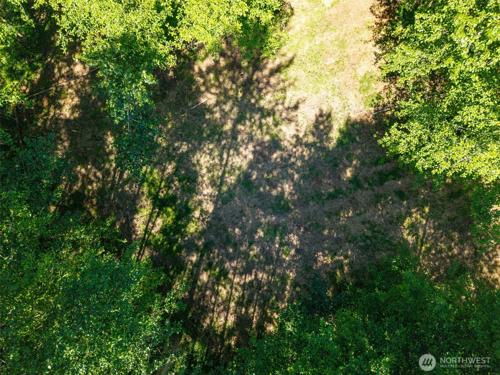 MLS #NWM2501595 image #11