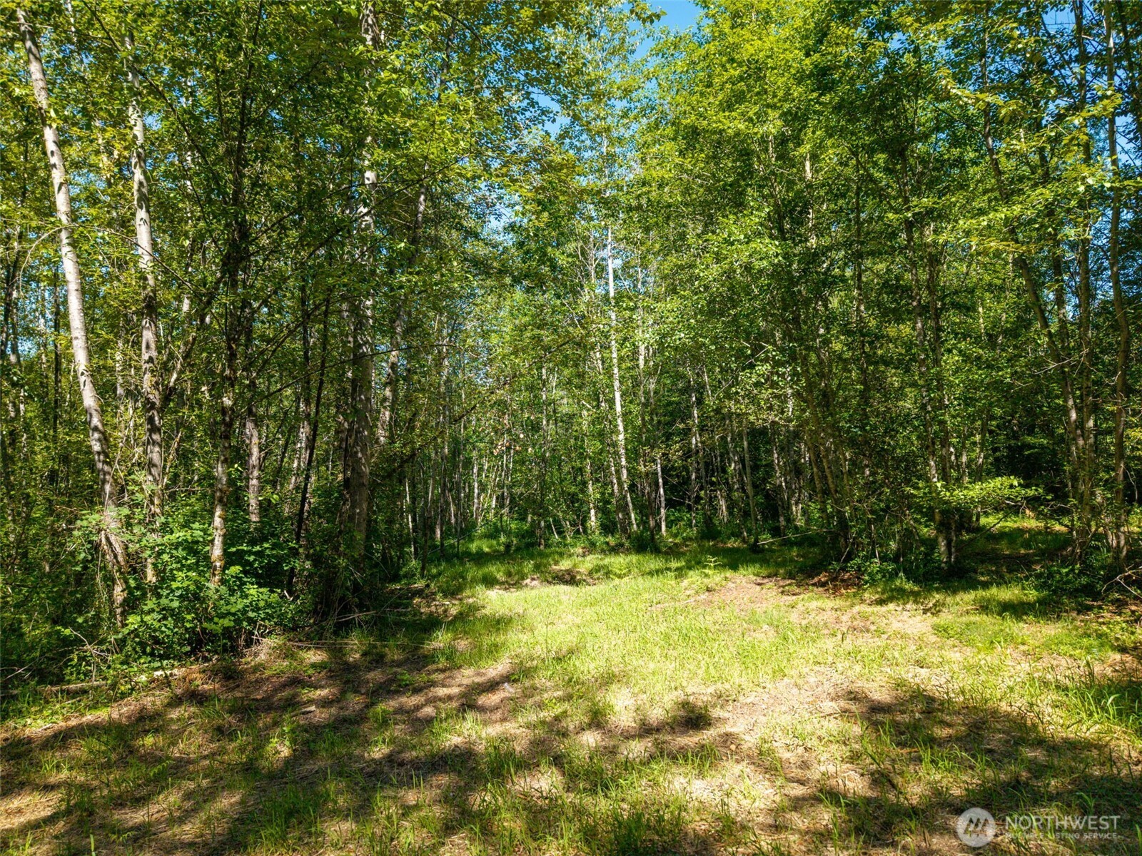 MLS #NWM2501595 image #10