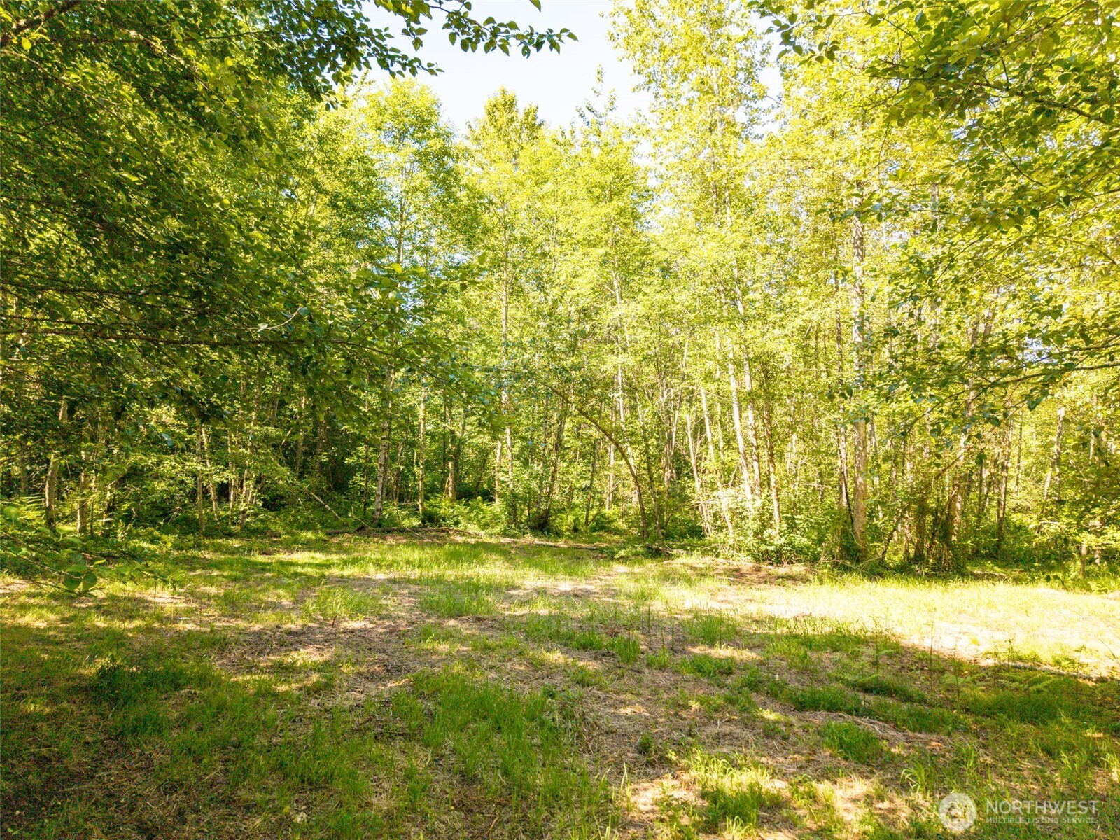 MLS #NWM2501595 image #8