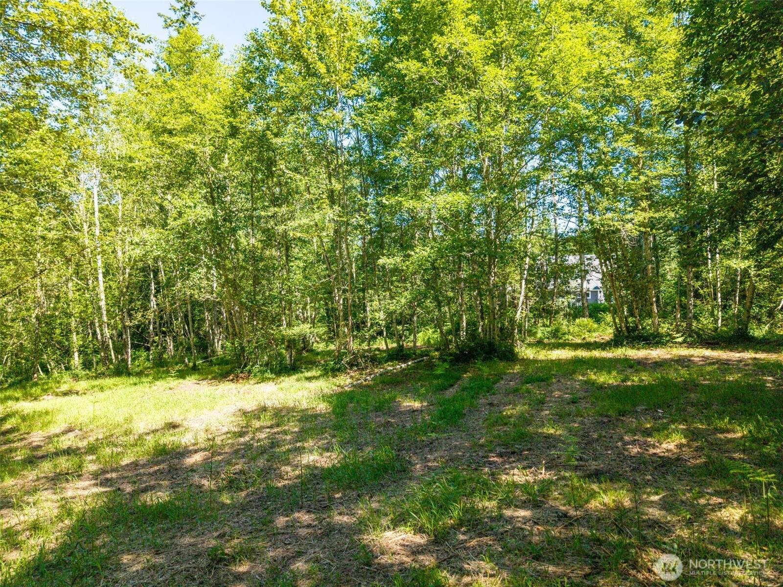 MLS #NWM2501595 image #9