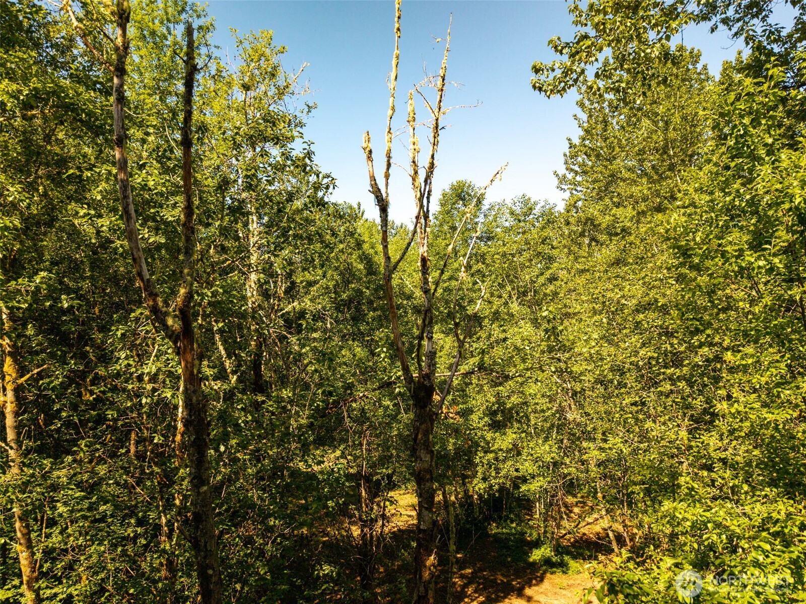 MLS #NWM2501595 image #14