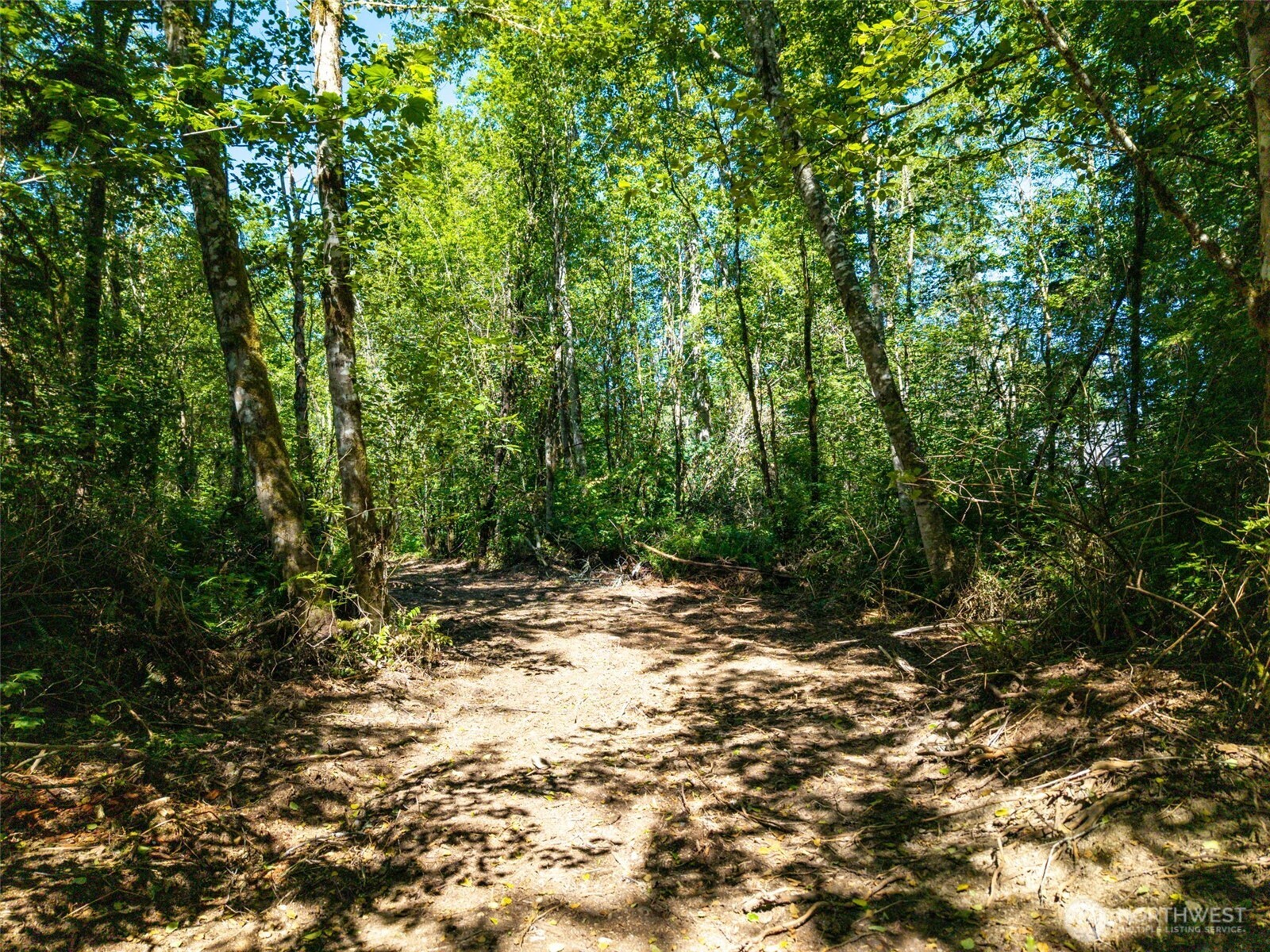 MLS #NWM2501595 image #15