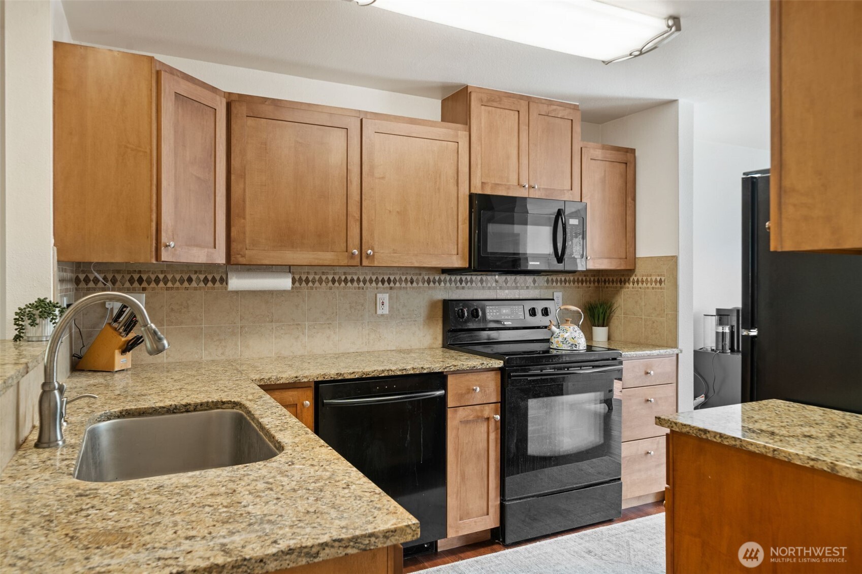 MLS #NWM2501605 image #13