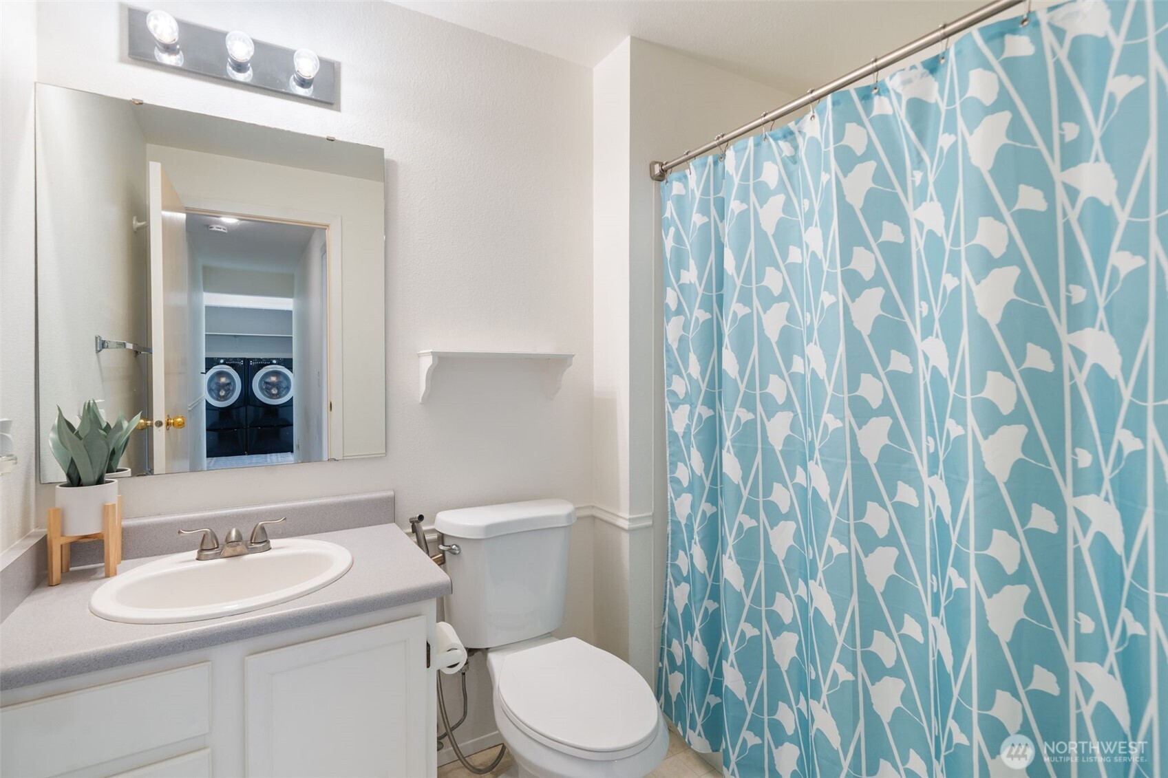 MLS #NWM2501605 image #29