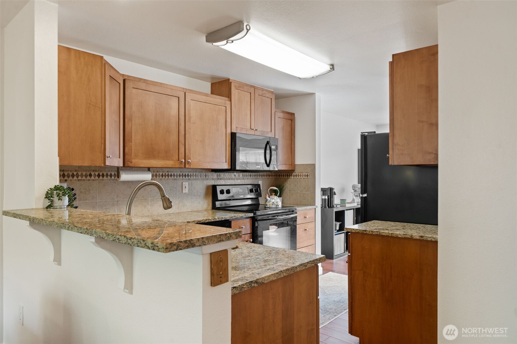 MLS #NWM2501605 image #14