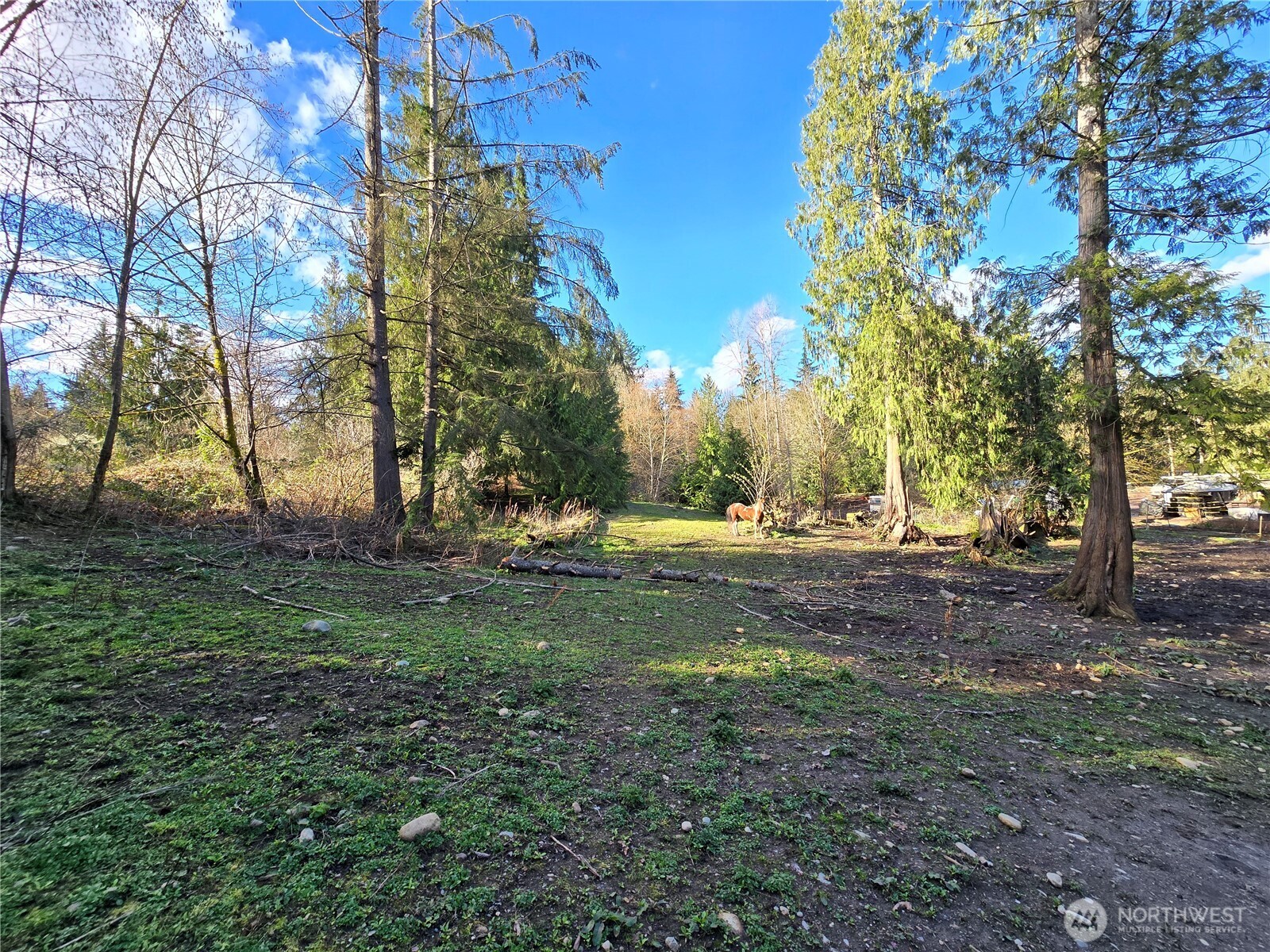 MLS #NWM2501646 image #8