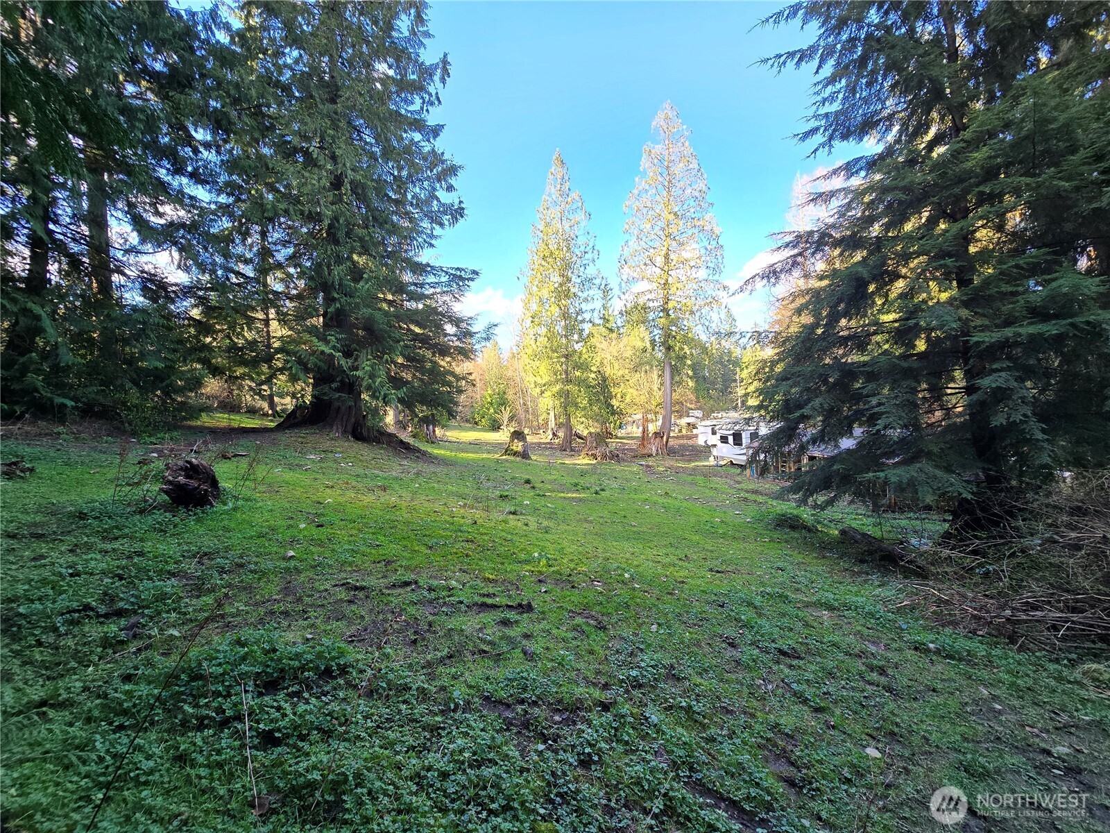 MLS #NWM2501646 image #14