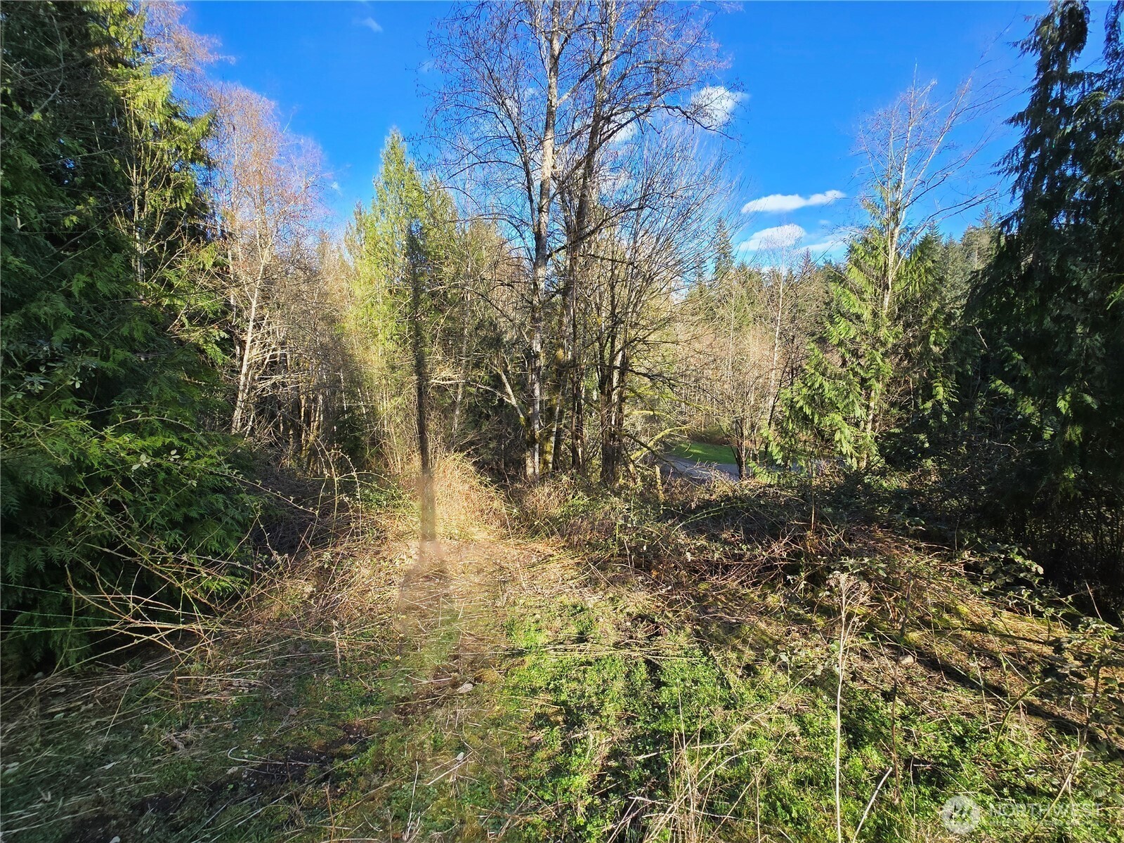 MLS #NWM2501646 image #24