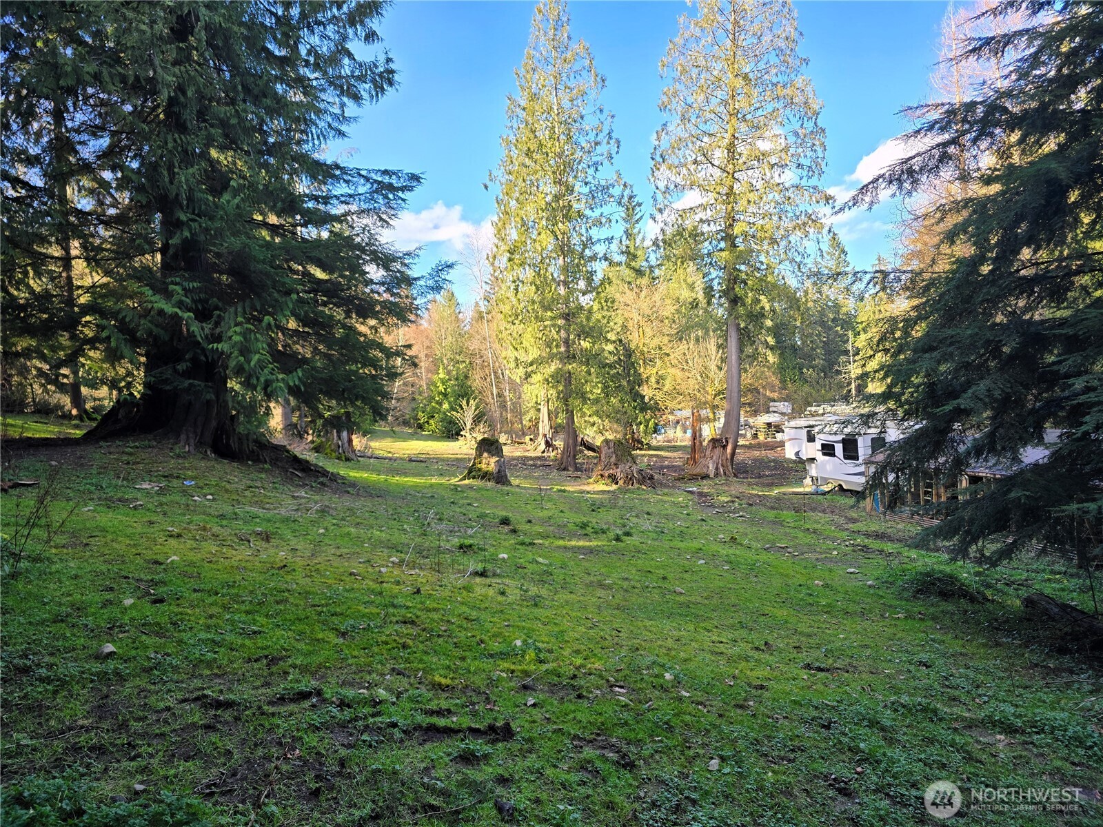 MLS #NWM2501646 image #15