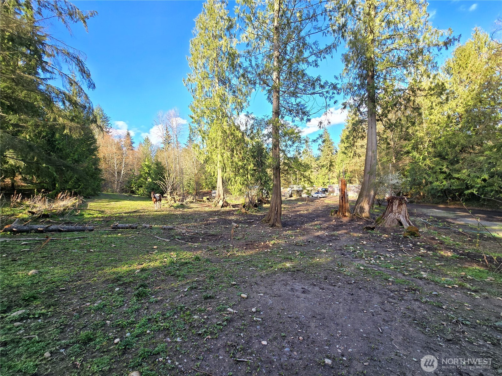 MLS #NWM2501646 image #11