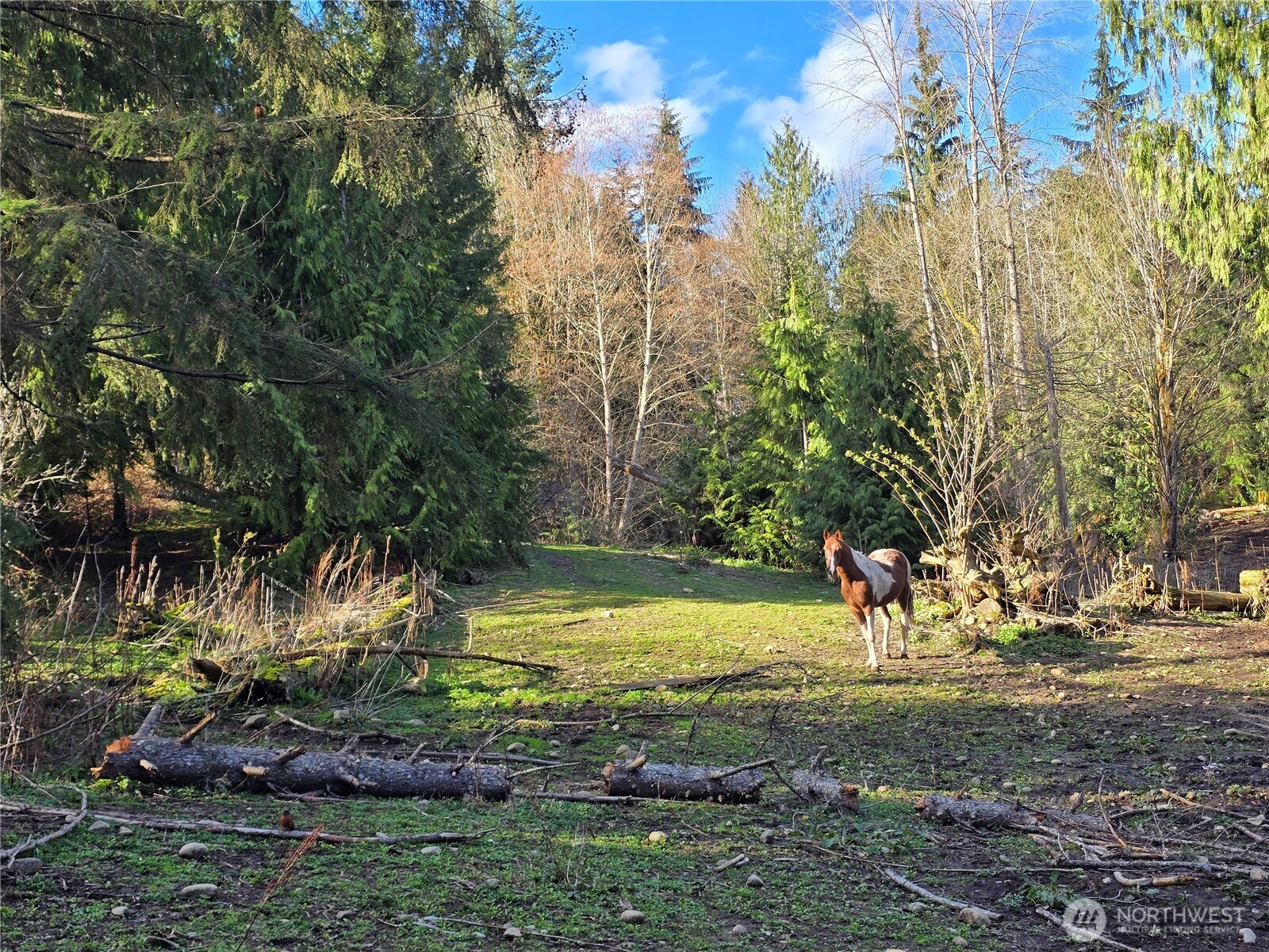 MLS #NWM2501646 image #10