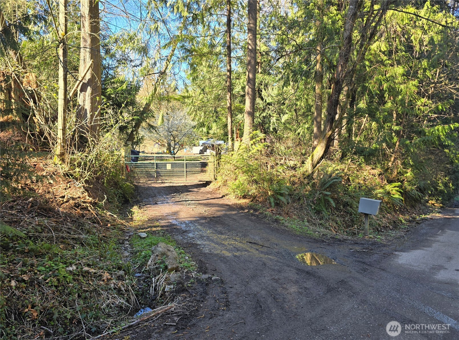 MLS #NWM2501646 image #2