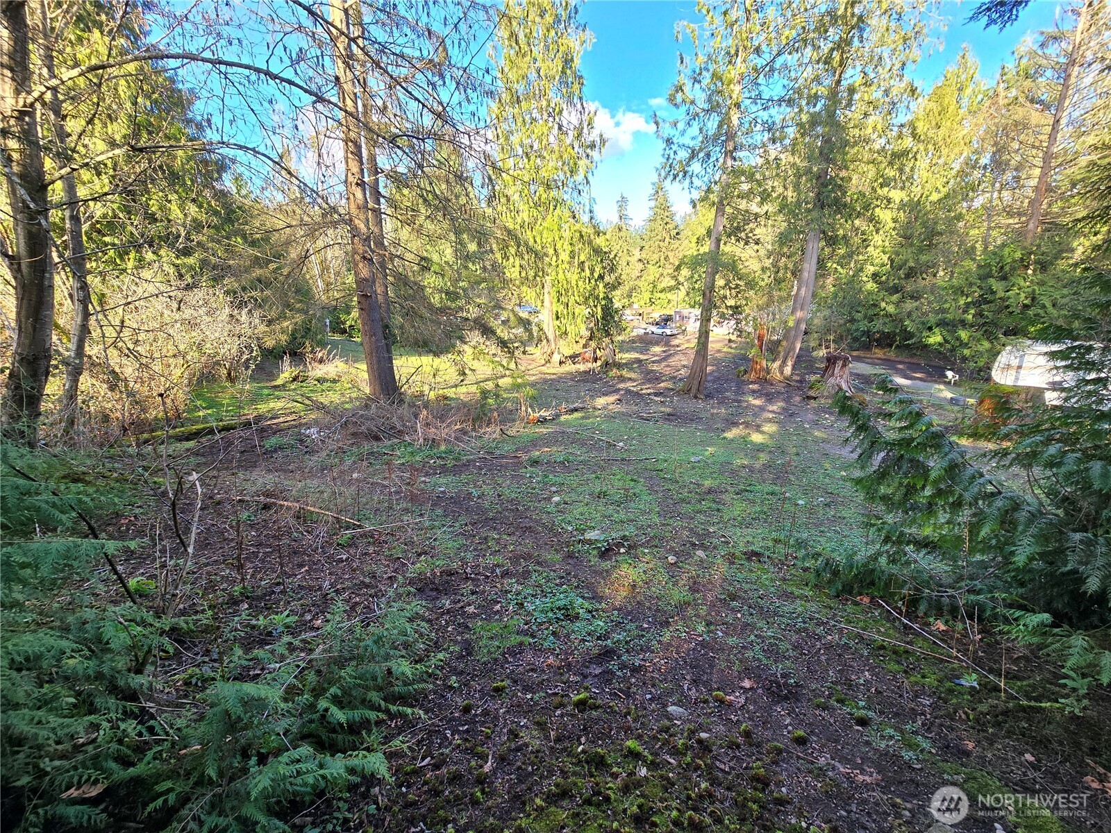 MLS #NWM2501646 image #17