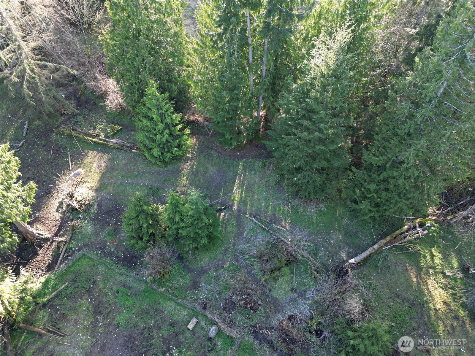 MLS #NWM2501646 image #29