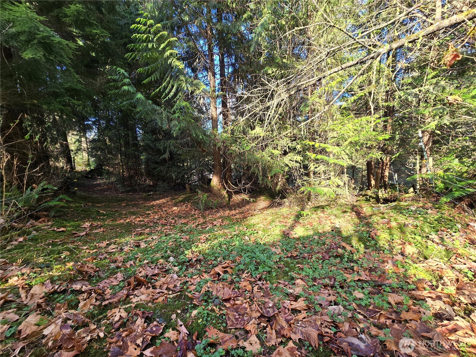 MLS #NWM2501646 image #16