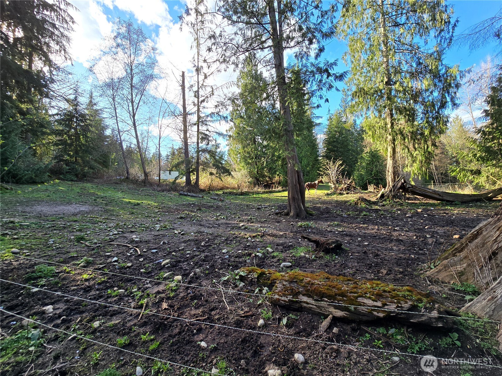 MLS #NWM2501646 image #9