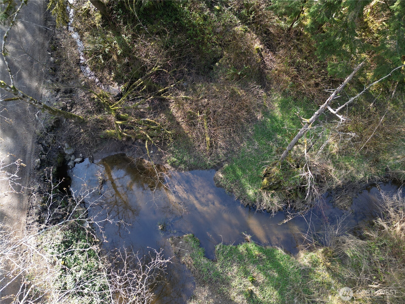 MLS #NWM2501646 image #1