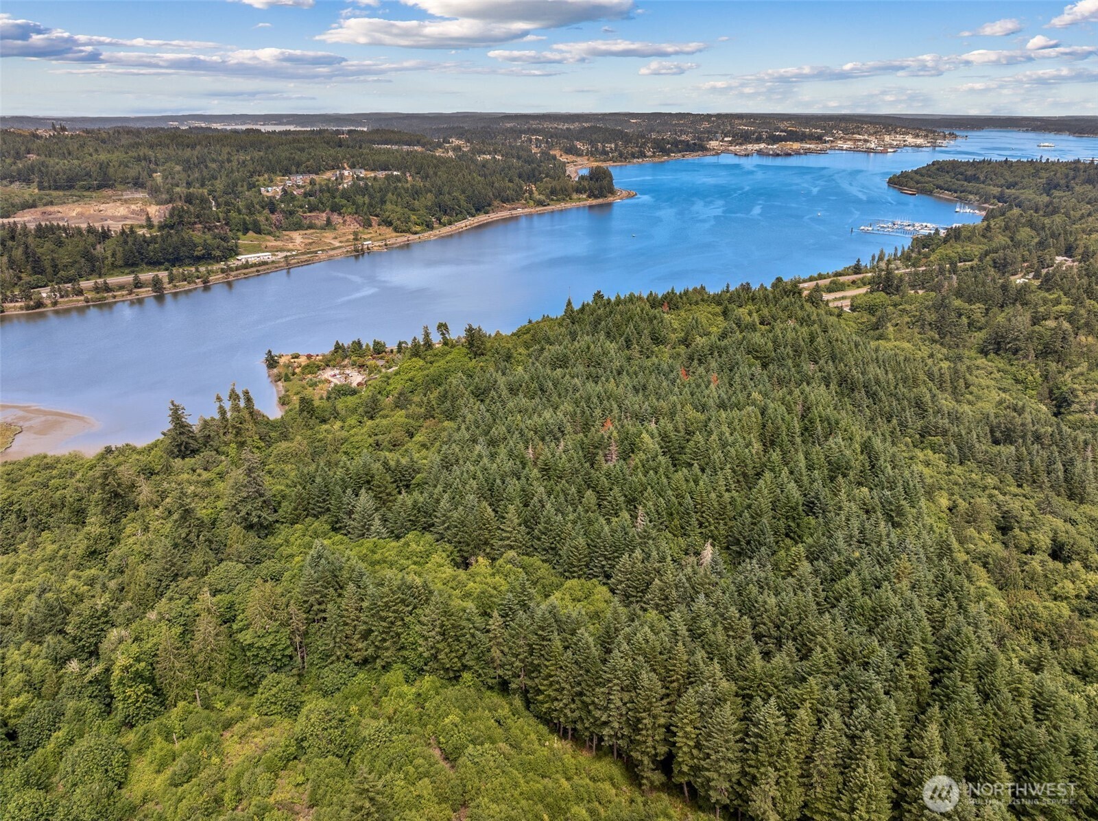 MLS #NWM2501752 image #6