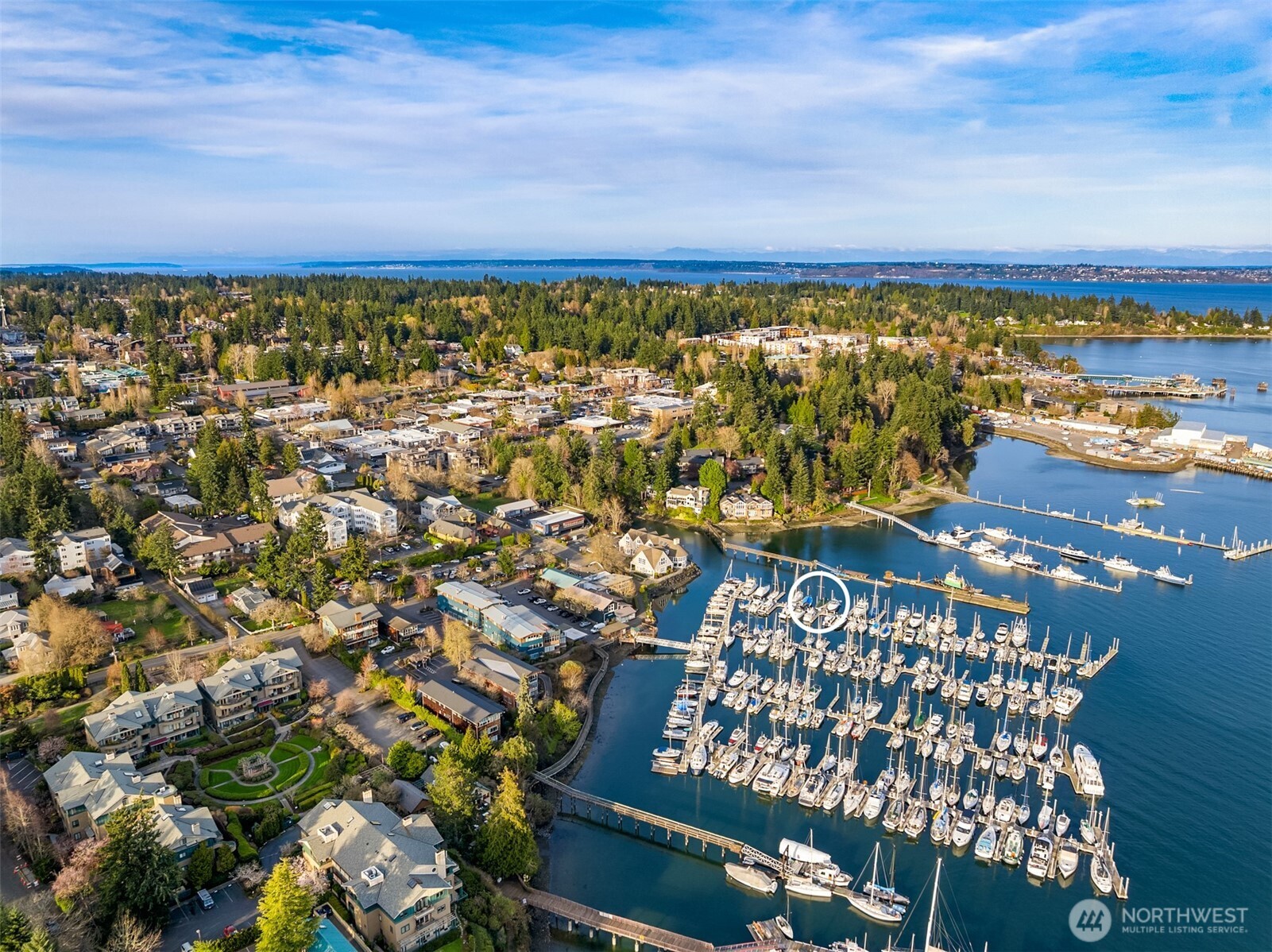 MLS #NWM2501767 image #3