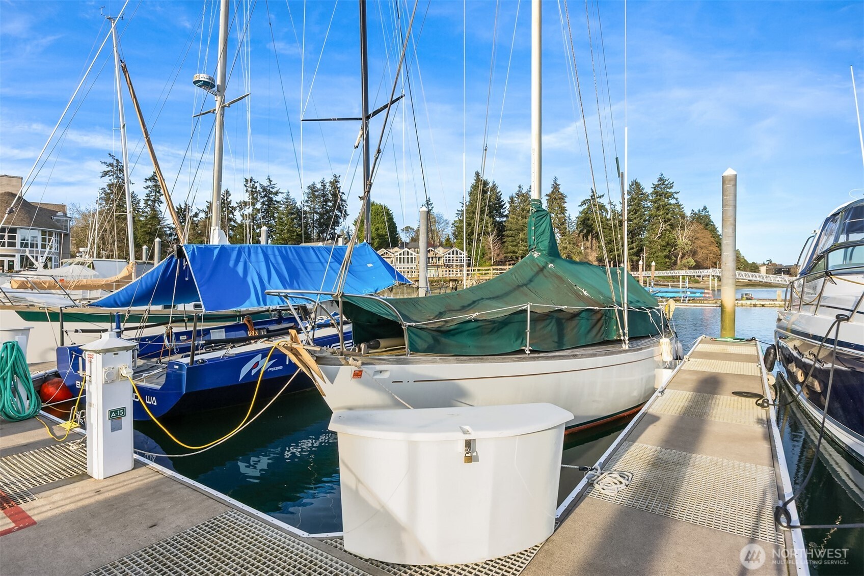 MLS #NWM2501767 image #9