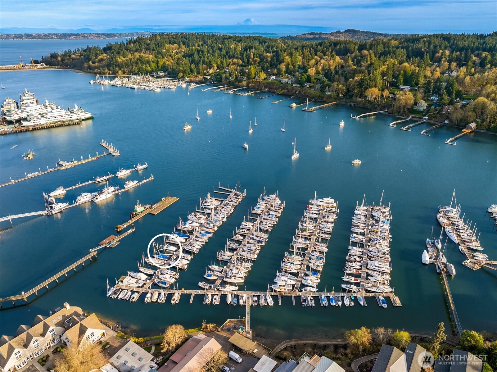 MLS #NWM2501767 image #2
