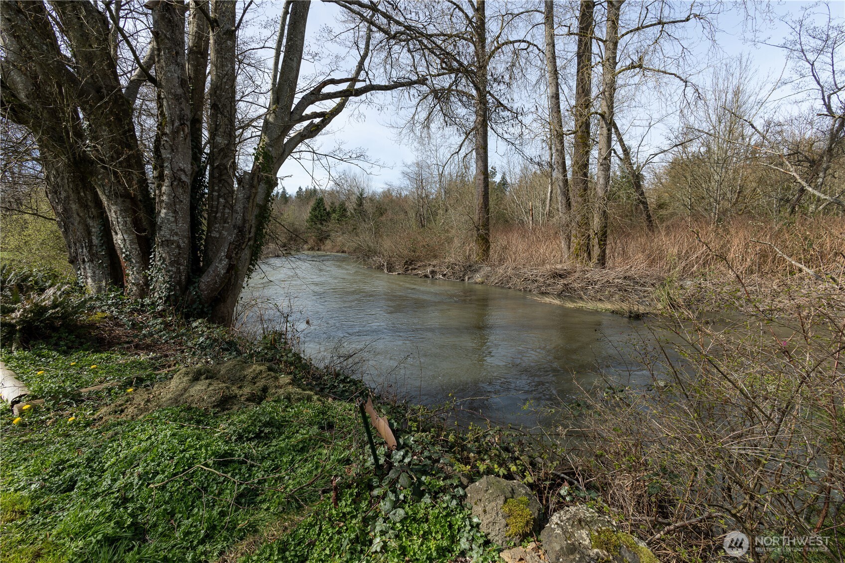 MLS #NWM2502094 image #29