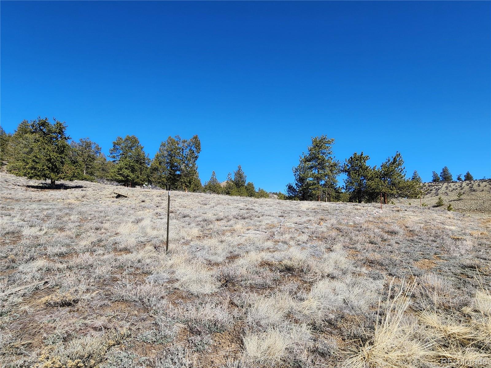 Spruce Street Hartsel, Colorado, United States Home For Sale