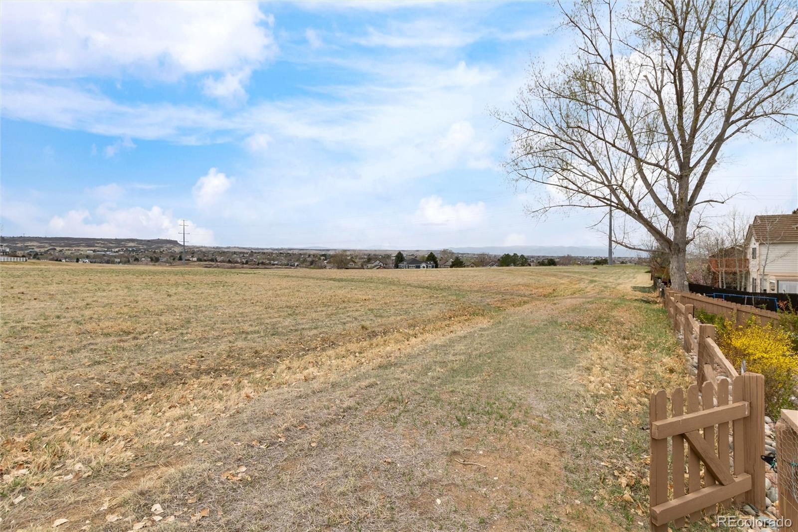 4c1f0417 C1ba 4afe Aaa6 2a3173c3692c