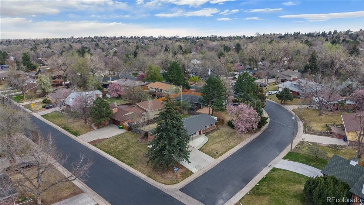 Cc1642e3 B8c1 4257 83f6 7bd1e8100de3