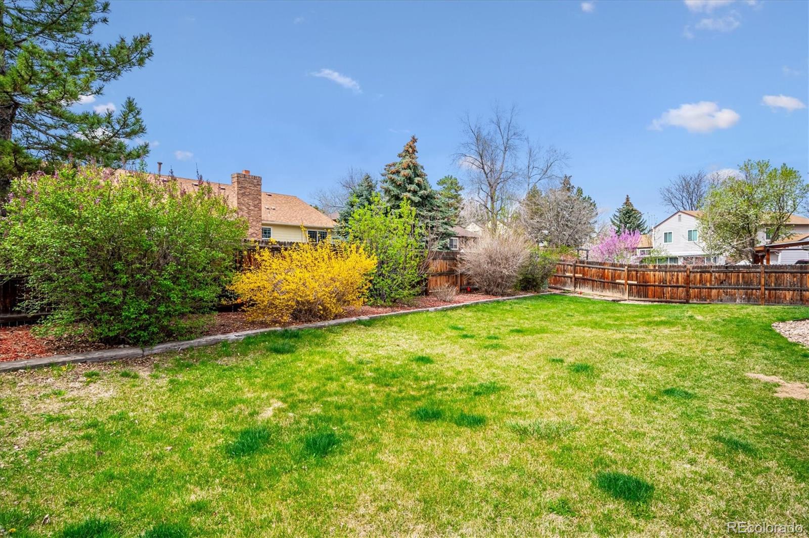 Cd11c609 241c 43f7 B967 302c69798f6d