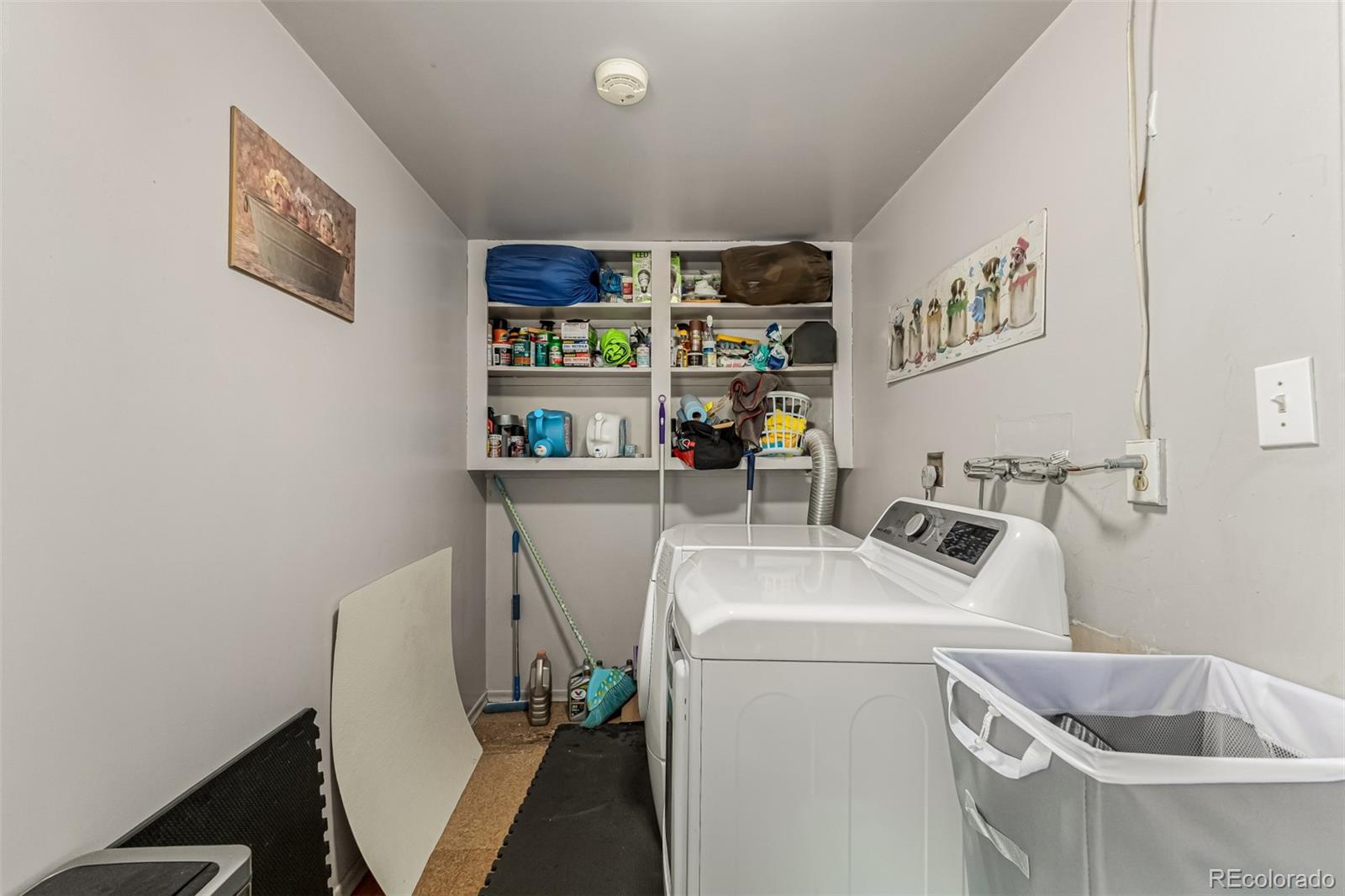 2286ea6b 0afa 480d B695 060667c9d2dd