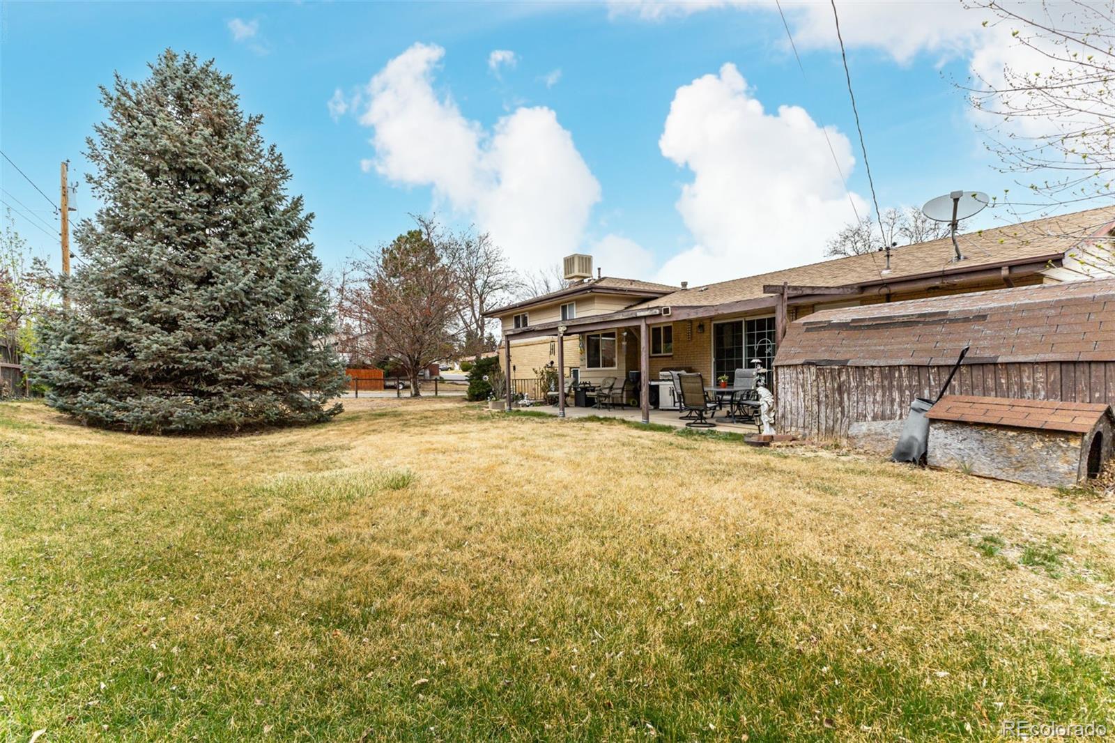 6719455b 1cdb 423c 88f5 26ebecce4cb8