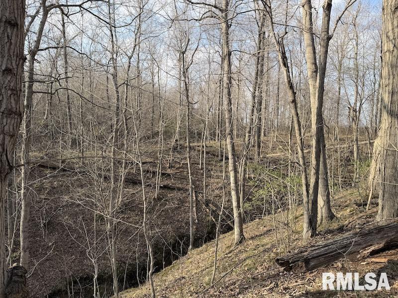 MLS #RMACA1042735 image #23