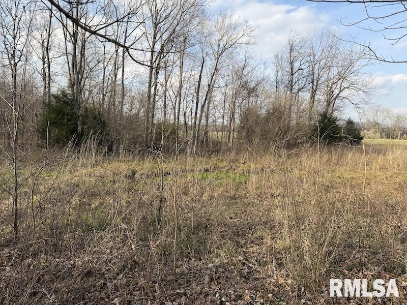 MLS #RMACA1042735 image #28