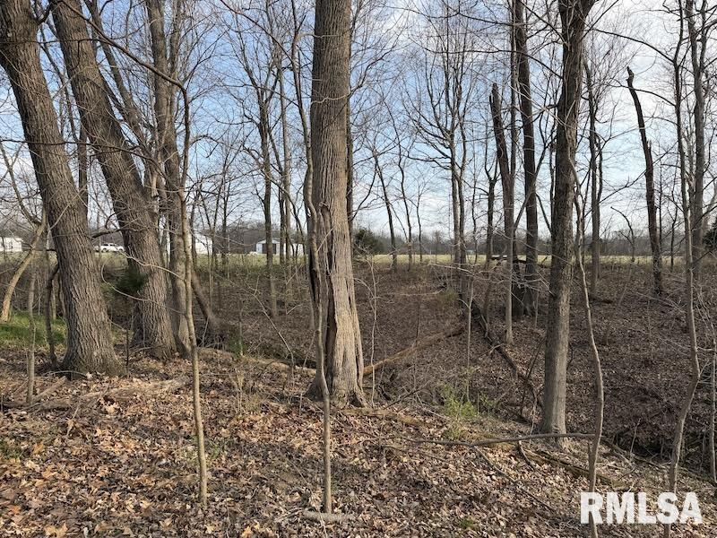 MLS #RMACA1042735 image #22