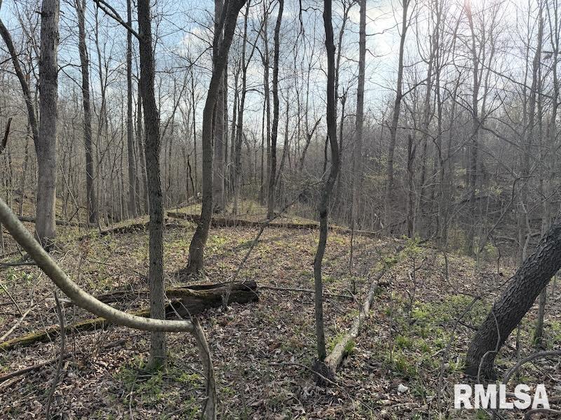 MLS #RMACA1042735 image #15