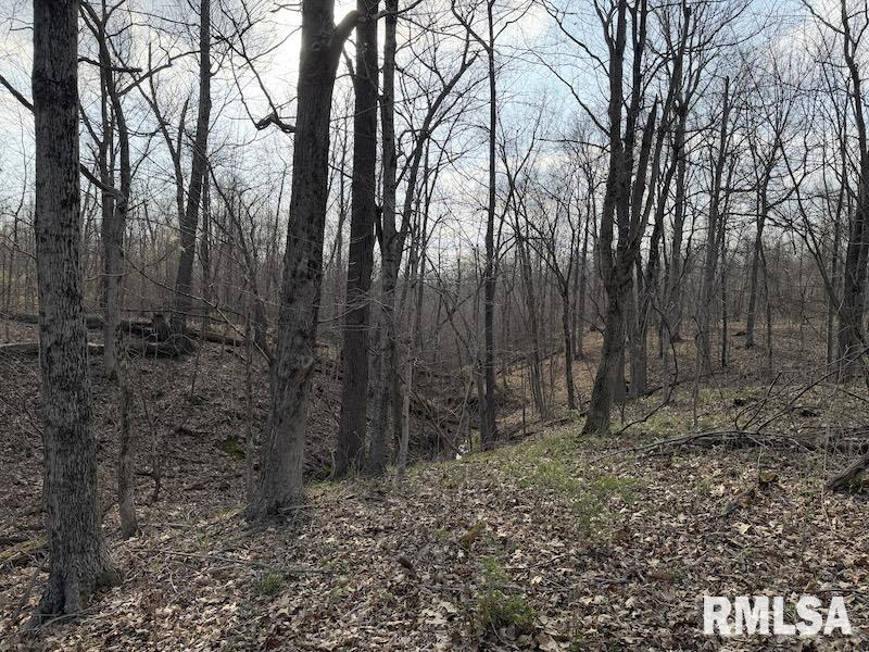 MLS #RMACA1042735 image #29