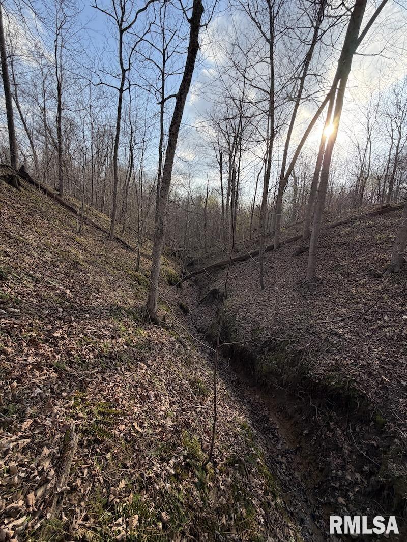 MLS #RMACA1042735 image #24