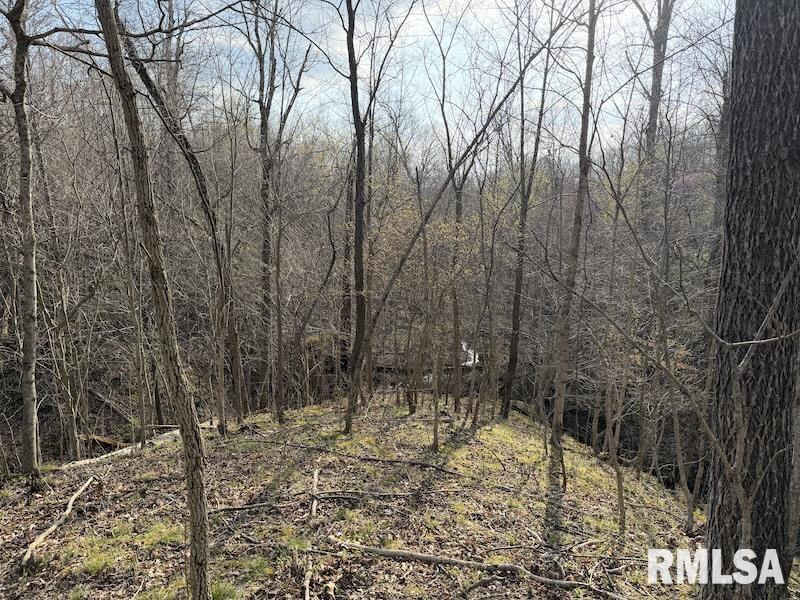 MLS #RMACA1042735 image #26