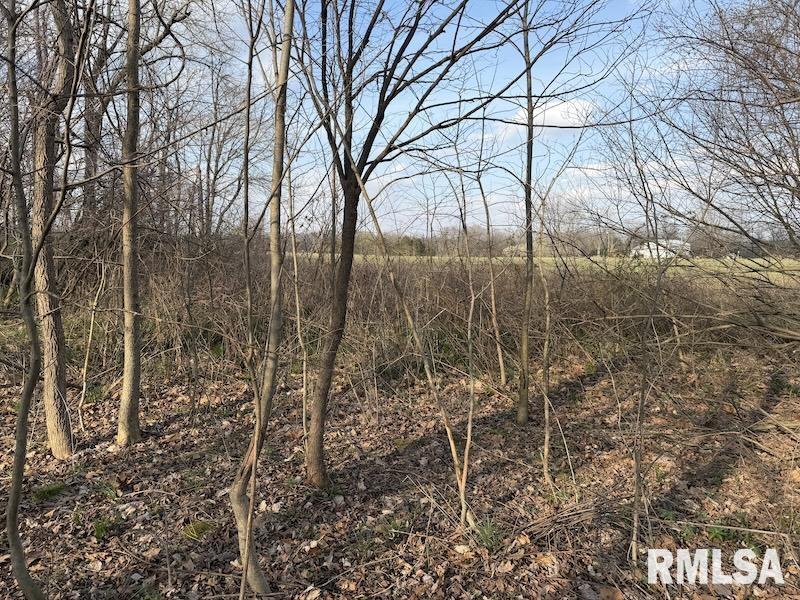 MLS #RMACA1042735 image #21