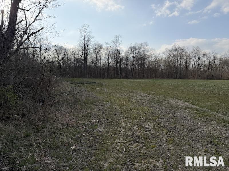 MLS #RMACA1042735 image #4