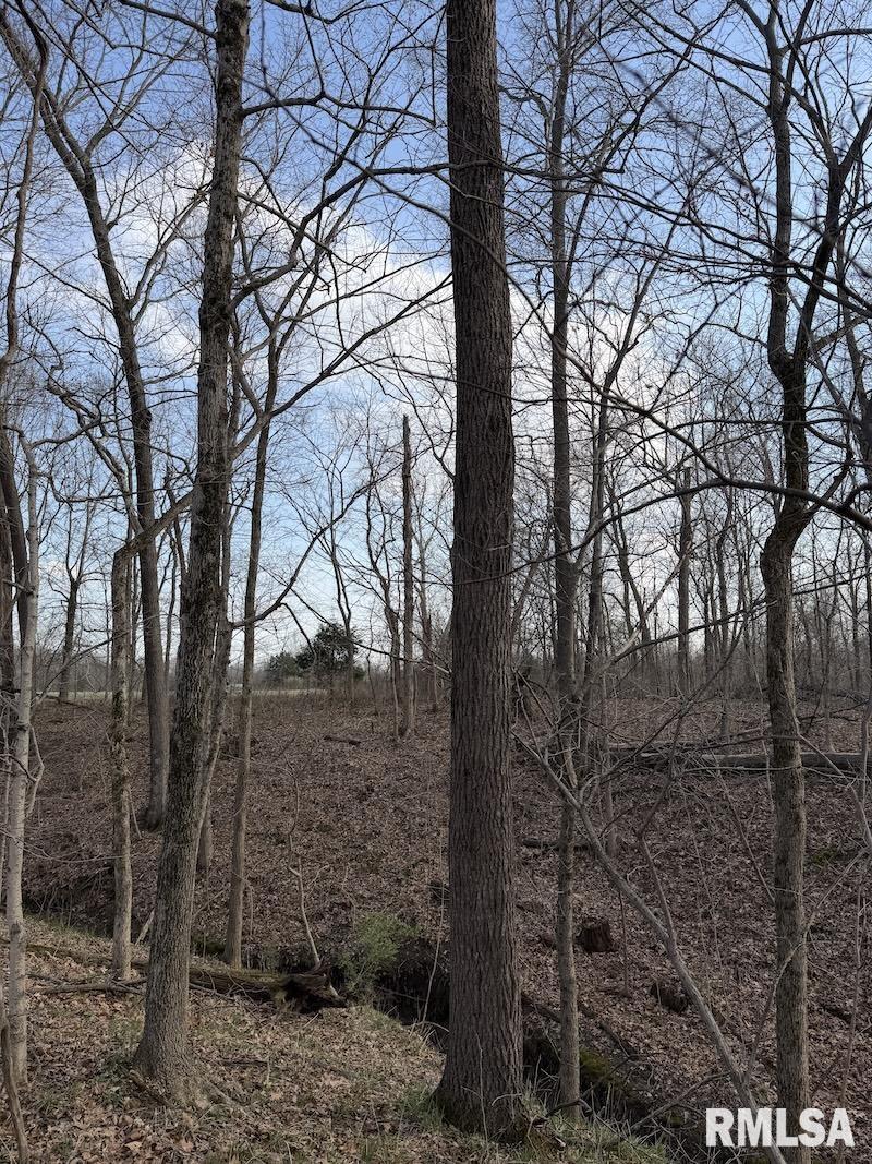 MLS #RMACA1042735 image #27