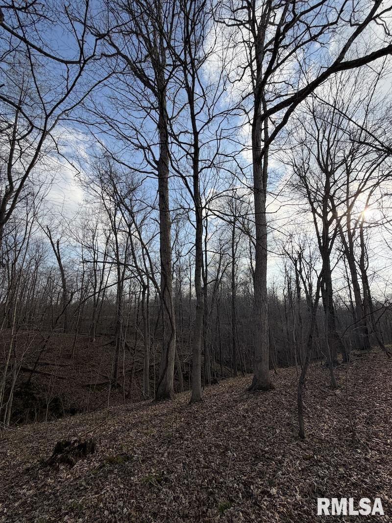 MLS #RMACA1042735 image #32