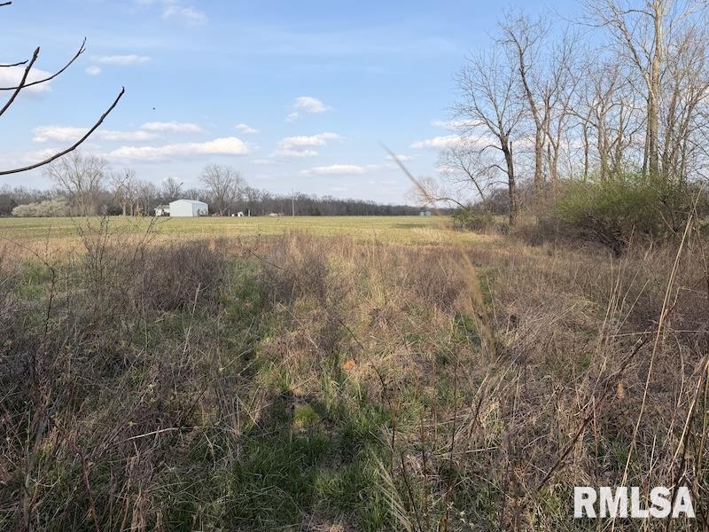 MLS #RMACA1042735 image #13